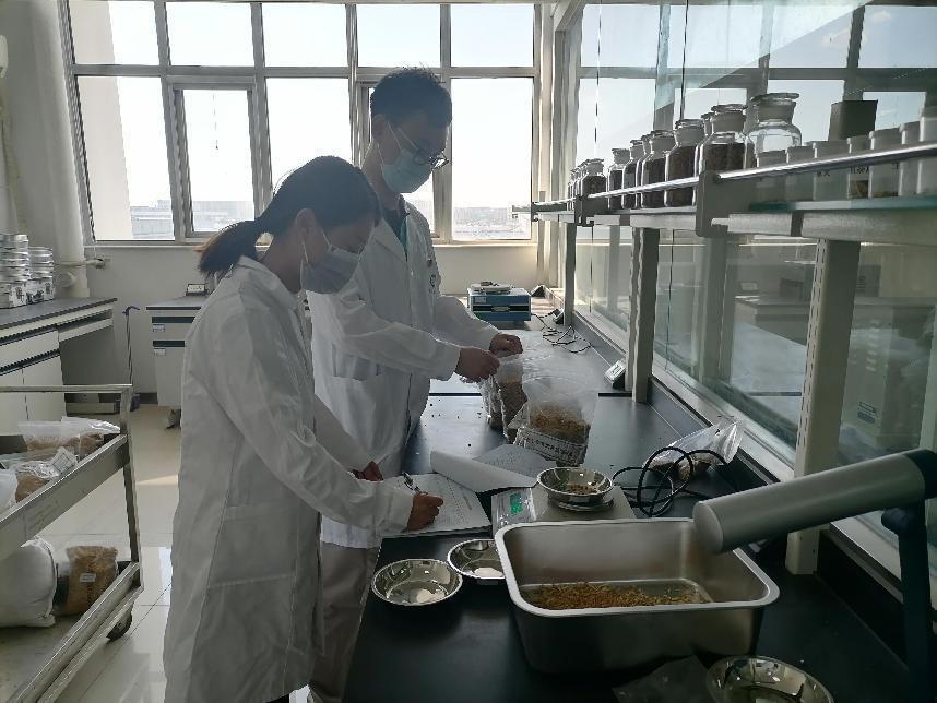 粮食检测.png